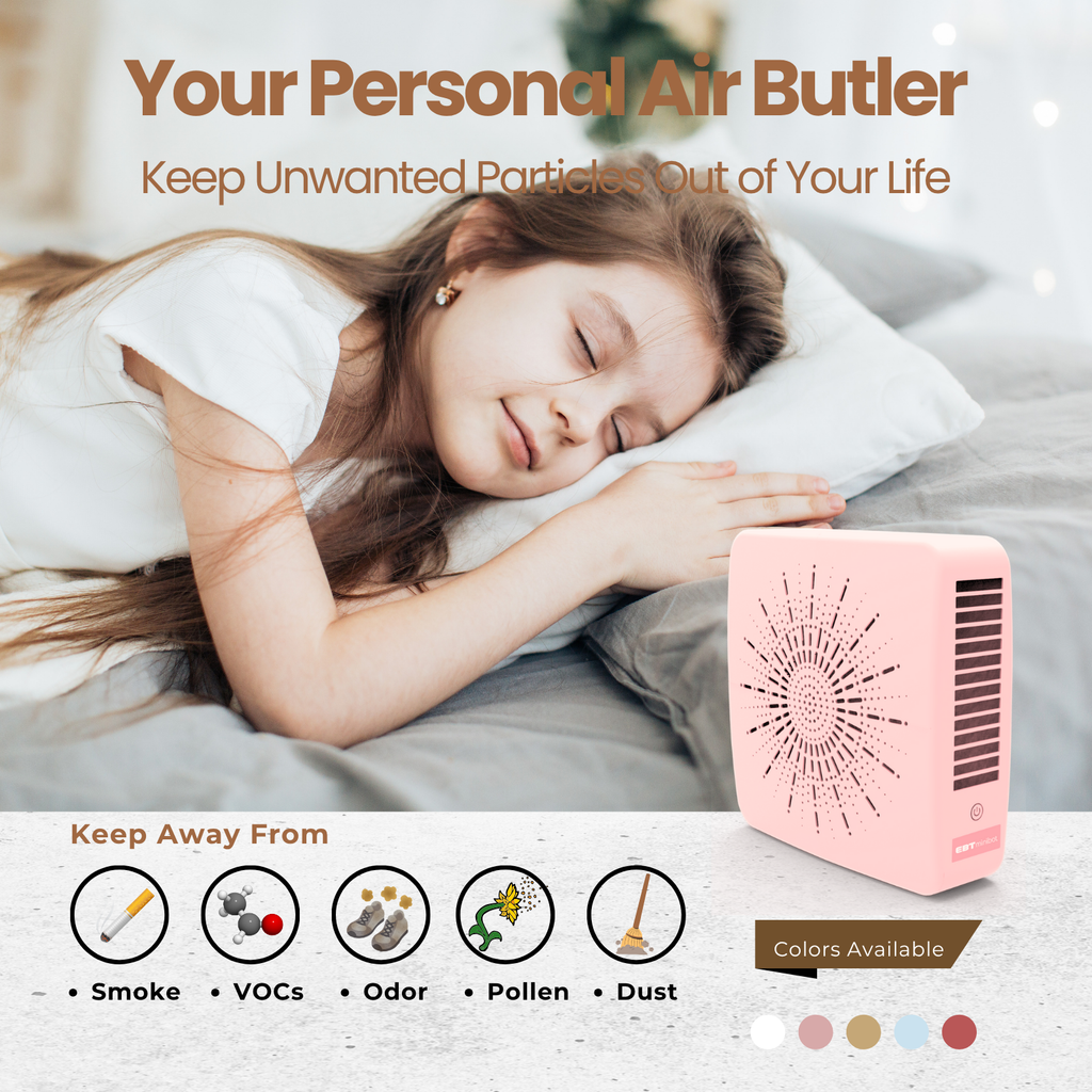 4-in-1 Portable Air Purifier with HEPA Filter, Aromatherapy Diffuser, Ionizer, Mini Fan – USB Desktop Air Cleaner for Home, Office, Baby, Pets and travel （Blush Pink）